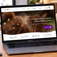 طراحی سایت حرفه‌ ای با وردپرس، سئو، تولید محتوا