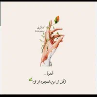 پ و ل ل ا ز م م