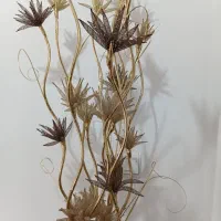 ۳۵۰۰۰۰|گل مصنوعی|رشت, پیرکلاچای|دیوار