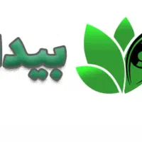 ترک اعتیاد، سم زدایی، درمان نگهدارنده