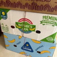 فروش کارتن و کارتن موز سالم