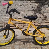 دو عدد دوچرخه 16سالم و مفت|دوچرخه، اسکیت، اسکوتر|تربتحیدریه, منظر|دیوار