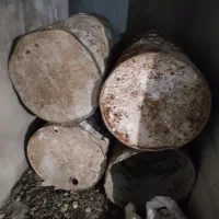 تخته زیرکار،بشکه،فرغون|مصالح و تجهیزات ساختمان|رشت, سلیمانداراب|دیوار