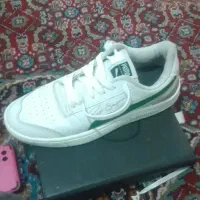 کتونی پوما اصل اورجینال