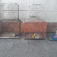 قفس بزرگ وکوچیک دارم