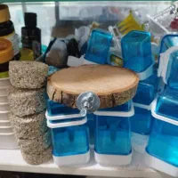 لوازم پرنده طوطی عروس قناری مرغ عشق|لوازم جانبی حیوانات|شیراز, شهرک گلستان|دیوار