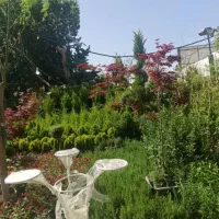 خدمات باغبانی تعویض خاک گلدان گلکاری باغچه طراحی