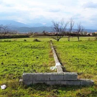 سرمایه گذاری(زمین ۶۰۰متری) اقساط۱۲ماهه|فروش زمین و ملک کلنگی|امامزاده عبدالله, |دیوار