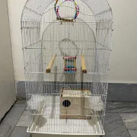 قفس بزرگ