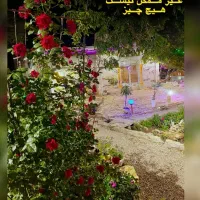 سالن کار و ظرفشور