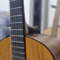 گیتار Antonio Caesar|گیتار، بیس، امپلیفایر|مشهد, فلسطین|دیوار