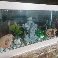 آکواریوم با شیشه ۱۰ میل کاملا سالم و محکم