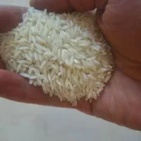 فروش برنج گیلان