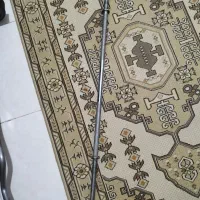 هالتر
