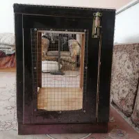 قفس بزرگ سنجاب|لوازم جانبی حیوانات|تهران, کیانشهر|دیوار