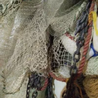 جل میگو