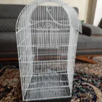 قفس