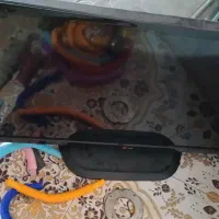 تلویزیون ال ای دی ۳۲ اینج