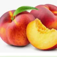 فروش میوه حق العملی