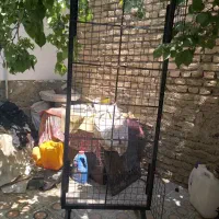 بوفه ویترین آهنی دکور گردان استند|بوفه، ویترین، کنسول|همدان, |دیوار