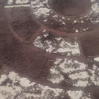 فرش|فرش|فردیس, فردیس|دیوار