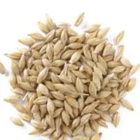 جو محلی ابی