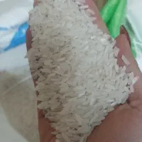 برنج پاکستانی درجه یک زیر قیمت بازار