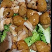 حلزون مولد و تخم گذار