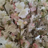 گل مصنوعی خارجی|صنایع دستی و سایر لوازم تزئینی|مریوان, |دیوار