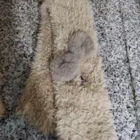 شال و کلاه بچگانه|کفش و لباس بچه|کوهدشت, |دیوار