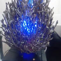 شب خواب|چراغ خواب و آباژور|ری, شهرری|دیوار