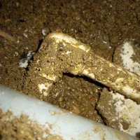 نشت‌ یابی تشخصی ترکیدگی با دستگاه‌های پیشرفته|خدمات پیشه و مهارت|گنبد کاووس, |دیوار