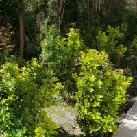 330متر قابل سکونت