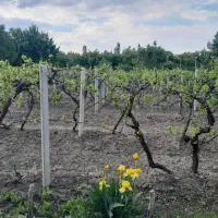 ویلاباغ گاز برق|فروش خانه و ویلا|ارومیه, |دیوار