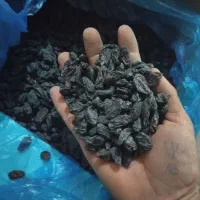 مویز درجه یک|خوردنی و آشامیدنی|قرچک, پارک جنگلی|دیوار