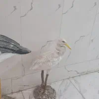 فلامینگو اردک ۲۵۰۰تومن جفت|مجسمه، تندیس، ماکت|قدس, شهر‌قدس|دیوار