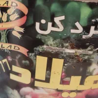 سبزی خرد کن|خردکن، آسیاب، غذاساز|یاسوج, |دیوار