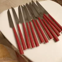 دودست کارد میوه المانی