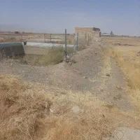 زمین کشاورزی