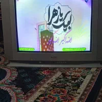 تلوزیون 29