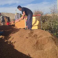 سبوس‌پوسته‌بادام‌زمینی‌وانار|عمده‌فروشی|شیروان (خراسان), |دیوار