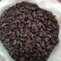 فخری،بادام کاغذی