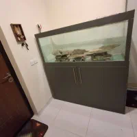 اکواریوم بزرک با کمد شیشه ۸ میل