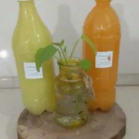 سبزیجات آماده مامان پز|خوردنی و آشامیدنی|مشهد, نرگس (شهرک غرب)|دیوار