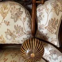 کمانچه همایون|سازهای سنتی|شاهرود, |دیوار