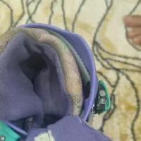 اسکیت دخترانه خارجی ژله ای|دوچرخه، اسکیت، اسکوتر|نسیم‌شهر, |دیوار