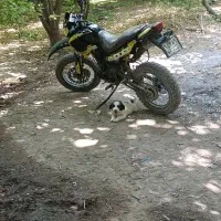 موتور تریل رادیسون 250cc