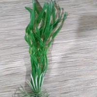 وسایل تزئینات آکواریوم|ماهی|سهند, |دیوار