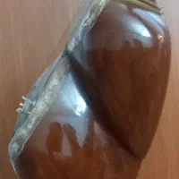 تار و سه تار|سازهای سنتی|دزفول, |دیوار