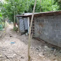 فروش زمین مسکونی با نامه بنیاد،نزدیک رشت